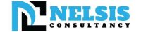 Nelsis Consultancy Logo